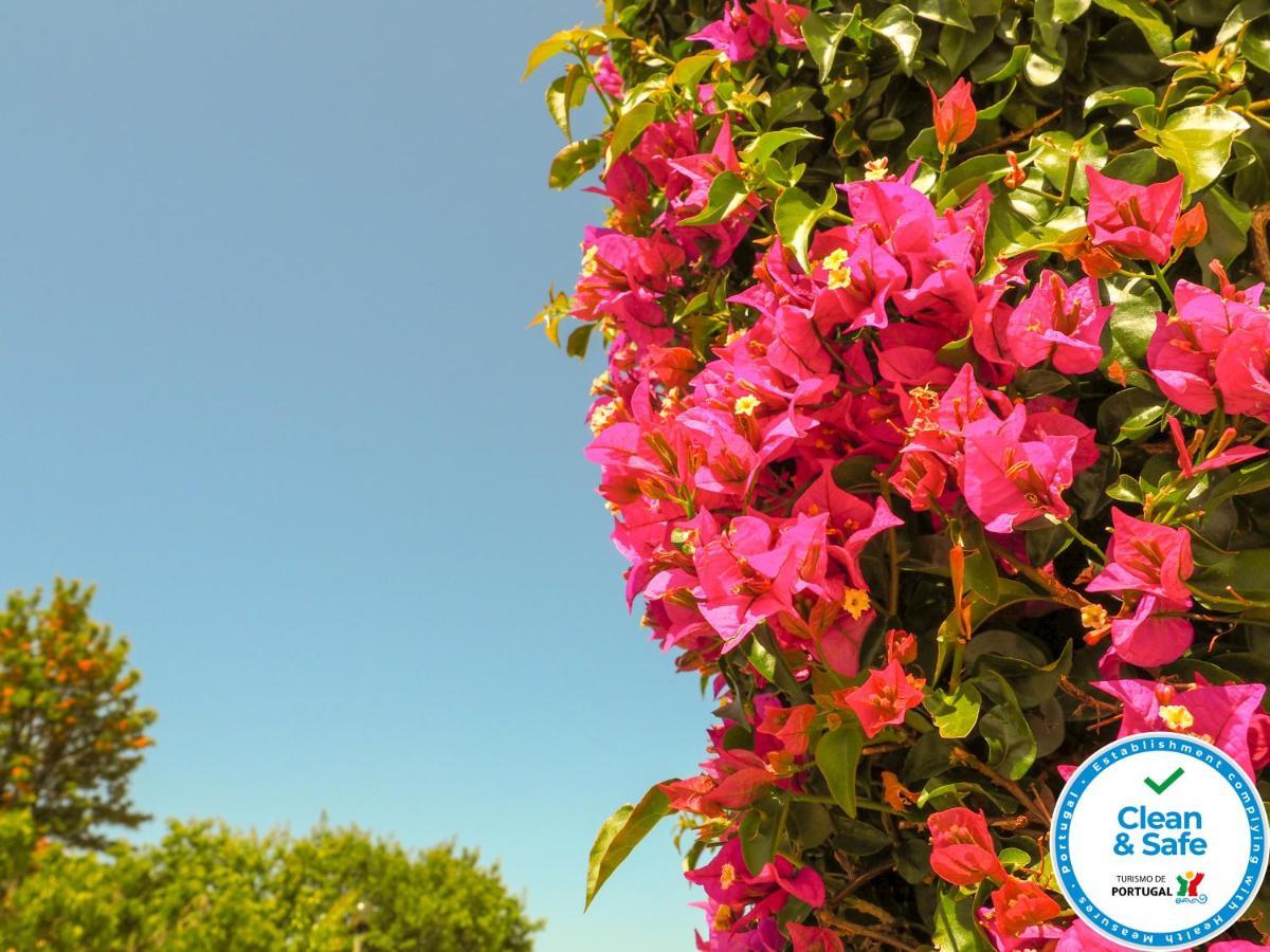 Club House Cvl Hotel Praia Da Luz Ngoại thất bức ảnh